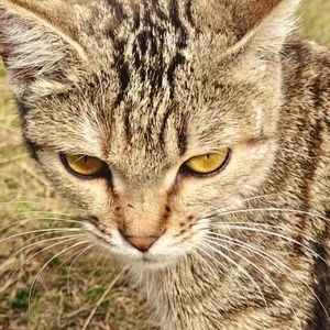 "冬季" SASIOVERLXRD×BOBBYNOPECACE Type Memphis Beat