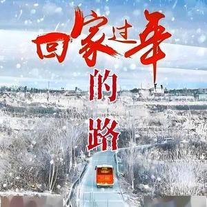 回家过年的路