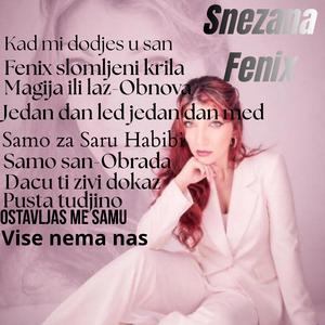Fenix slomljenih krila
