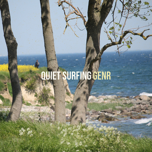 Quiet Surfing
