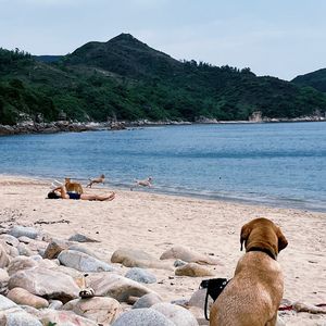 坐港岛线去看海 (Demo)