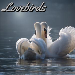 Lovebirds (feat. ashes.)