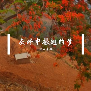 灰烬中振翅的梦