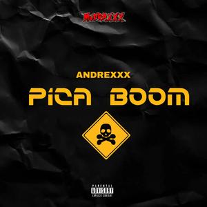 Pica Boom