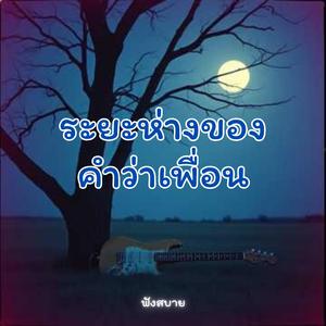 ระยะห่างของ คำว่าเพื่อน