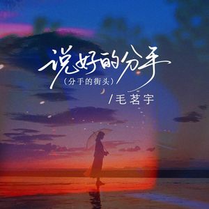 说好的分手（分手的街头）