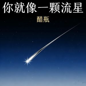 你就像一颗流星