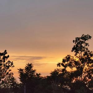 斑马 斑马 （原唱：宋冬野）_new