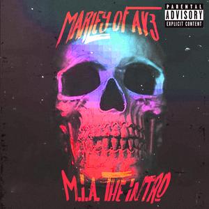 M.I.A The Intro