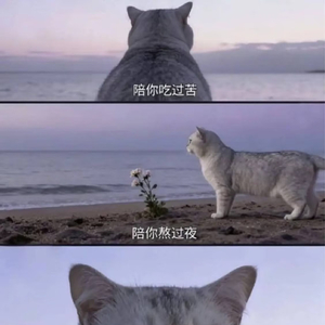 神爱世人