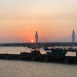 雨伞下的城市我特别想笑