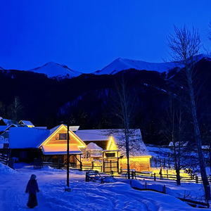 初冬寒香酿月光