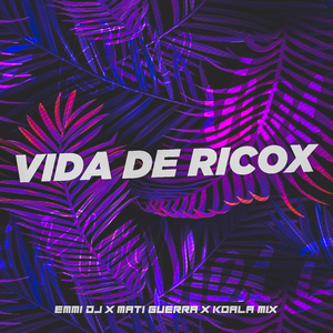 Vida de Ricox