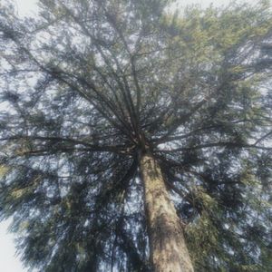 u leave（Prod.by ErebusNS x riki)