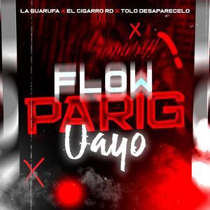 Flow Pariguayo (Un Tayo)