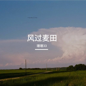 风过麦田