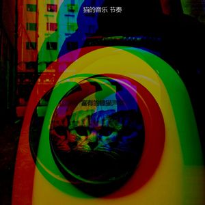 微妙的压力大的猫心情