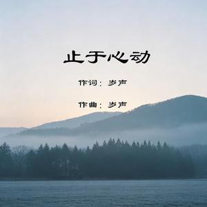 止于心动