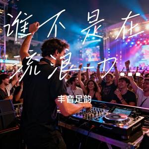 谁不是在流浪 (DJ版)(Cover 大壮)