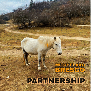 Partnership (Freestyle)