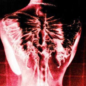 i don't want to bleed again