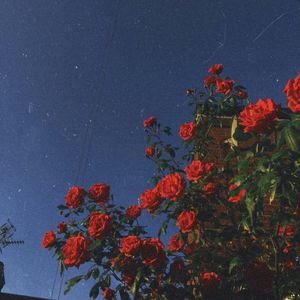 封闭 prod.RoyalBoyBrazy