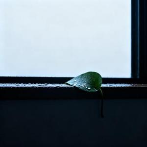我这边下雨了