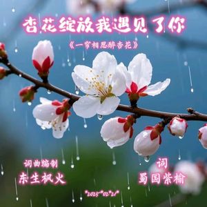 杏花绽放我遇见了你