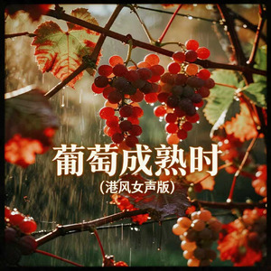 葡萄成熟时(港风女声版)