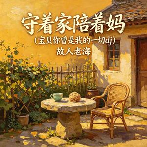守着家陪着妈（宝贝你曾是我的一切dj）