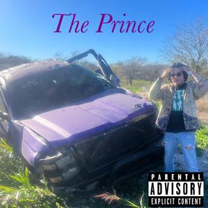 A.E.I.O.U. (& sum x why?)