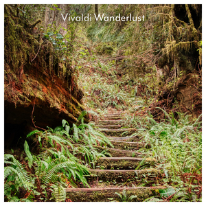 Violin Concerto in D Major, RV 234 "L'inquietudine":I. Allegro