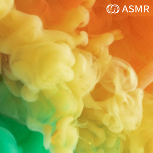 白噪音 虫鸣露营