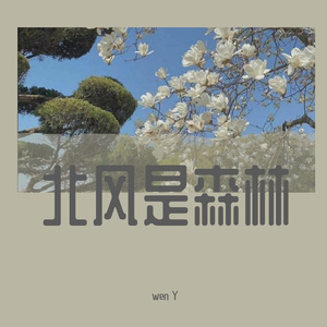 浅浅的笑（wen Y remix）