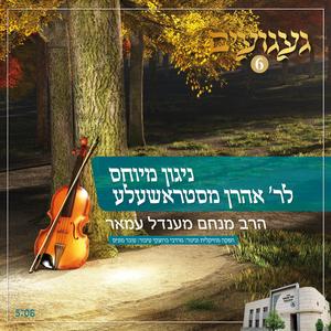 ניגון מיוחס לר' אהרן מסטראשעלע