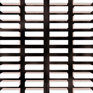 Microchip