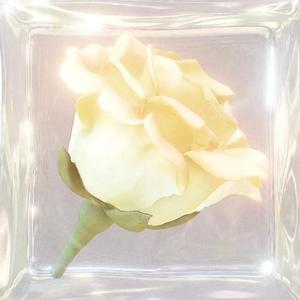 片刻永恒 (Moment Eternity)