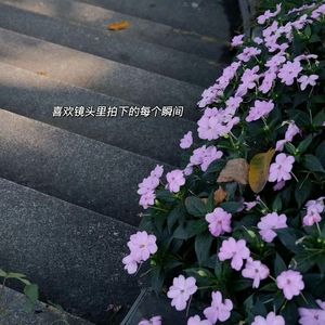 爱要怎么说出口