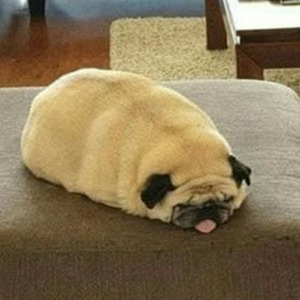 I Cant Handle Challenge (Sped Up)