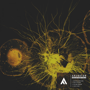 The Final Decision (Original Mix)