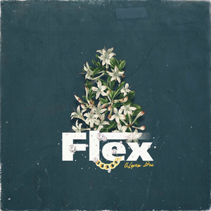 Флекс
