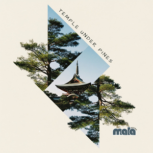 Lantern of Emptiness