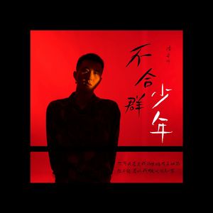 不合群少年（feat.木子洁）