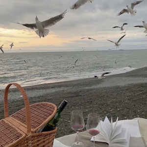 消失在记忆里的海