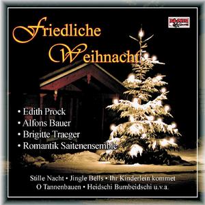 Am Weihnachtsbaum die Lichter brennen