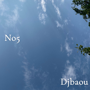 No5