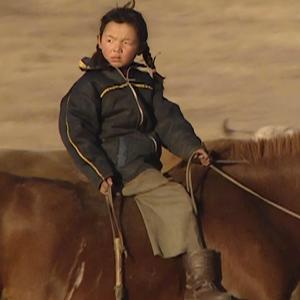 风雪中的小红花