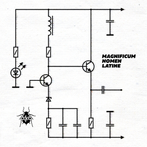 Magnificum Nomen Latine