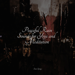 Rain, Vegetation, Wood, Heavy Wind