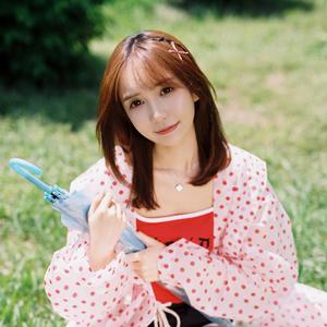 凤凰花开的路口-石玥，刘富国